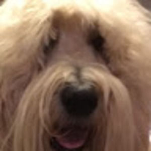 Meet your Posher, Ben